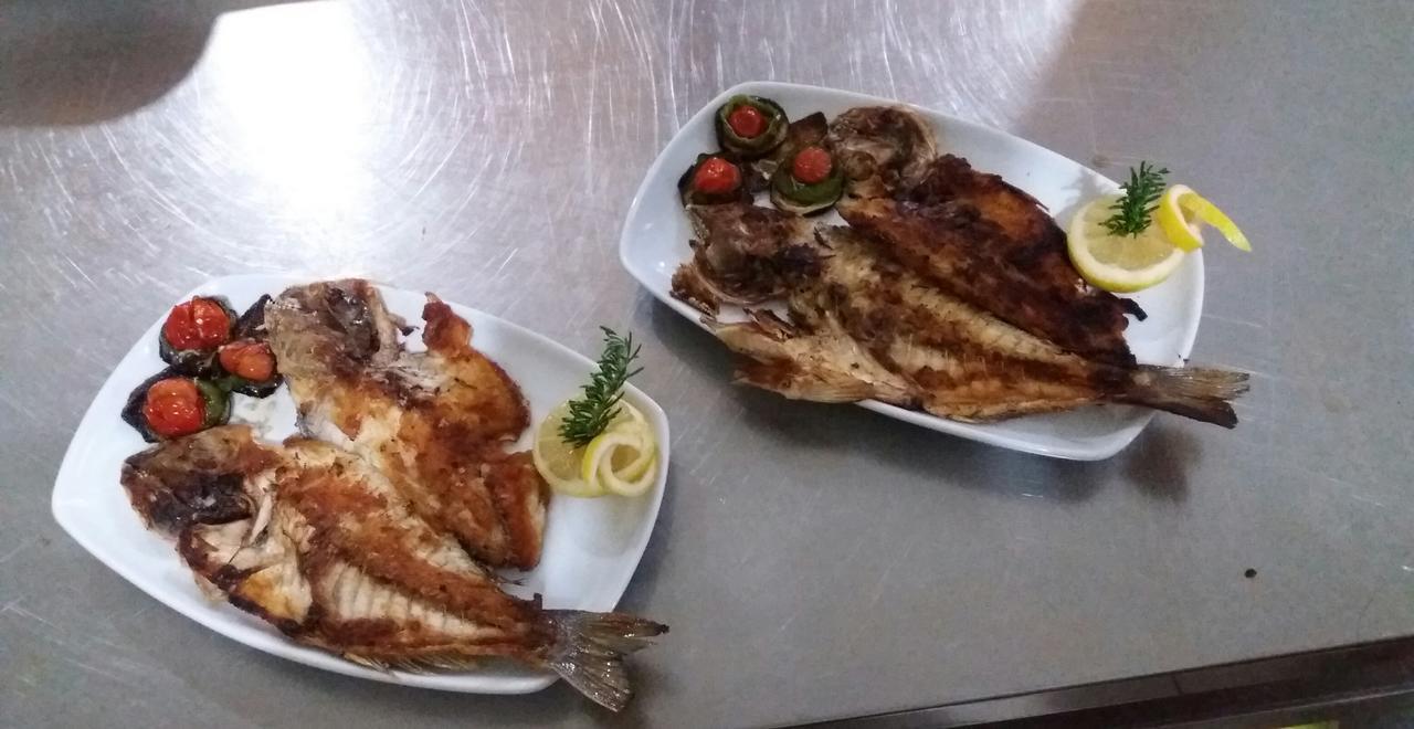 Hotel Restaurant Univers Shkodër Eksteriør billede